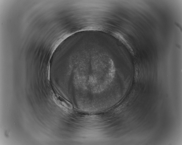 X0000102341276200808221623