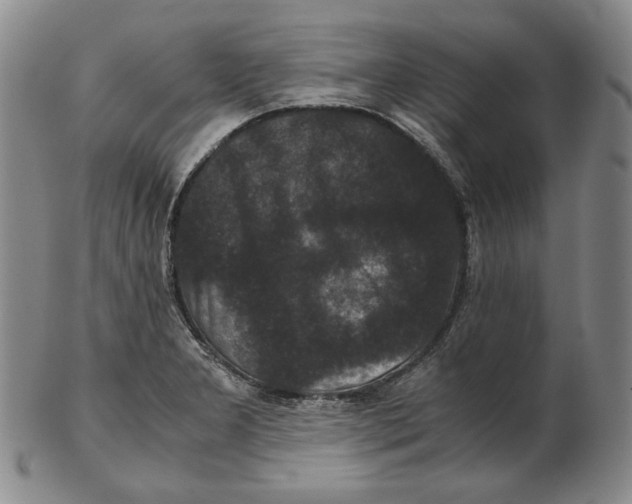 X0000102341277200808221623