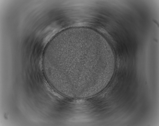 X0000102341278200808221623