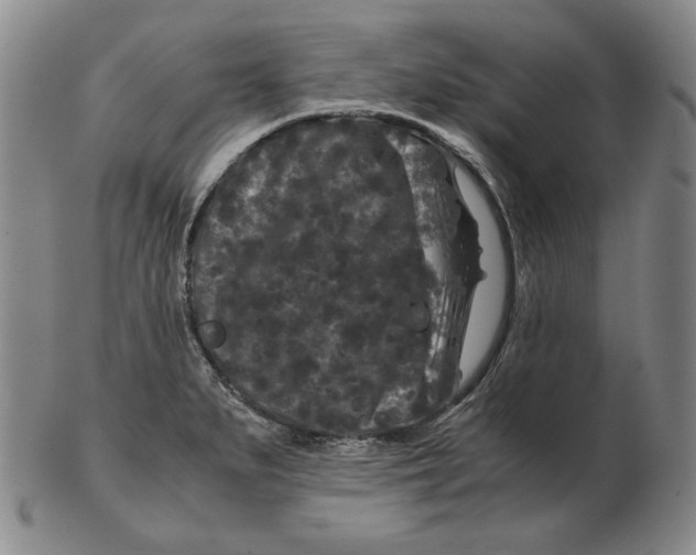 X0000102341279200808221623