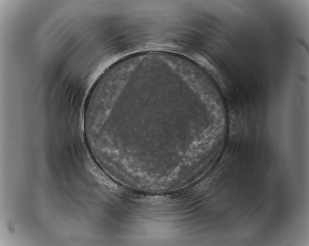 X0000102341280200808221623