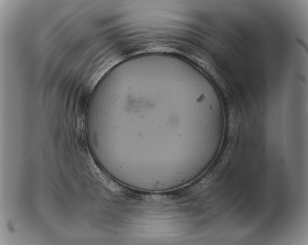 X0000102341281200808221623