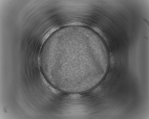 X0000102341282200808221623