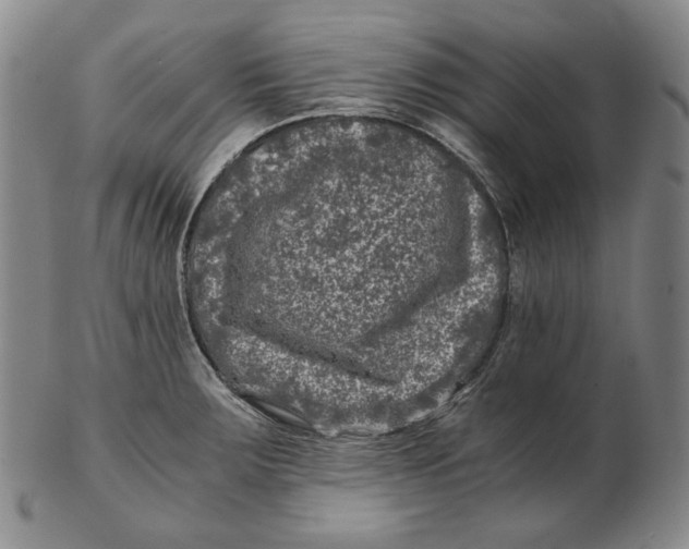 X0000102341283200808221623