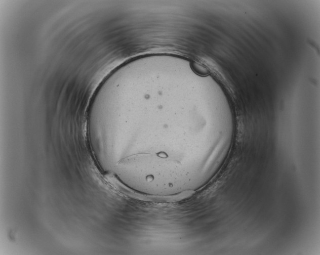 X0000102341284200808221623