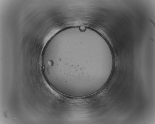 X0000102341285200808221623