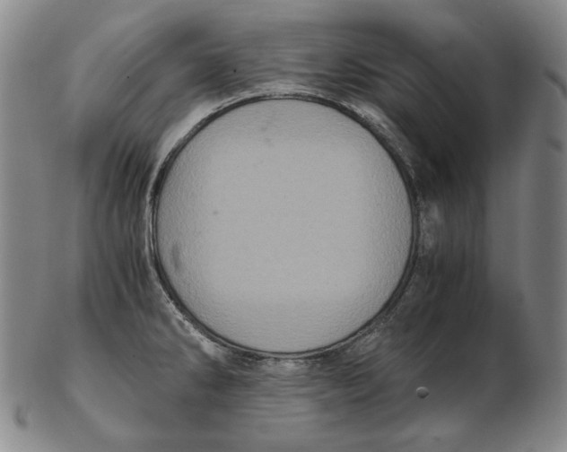 X0000102341286200808221622