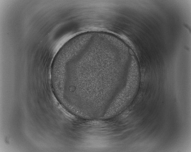 X0000102341287200808221622