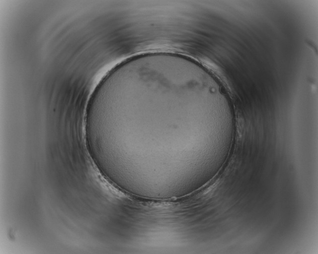 X0000102341288200808221622