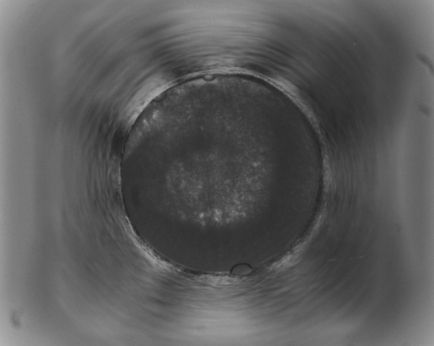 X0000102341289200808221622