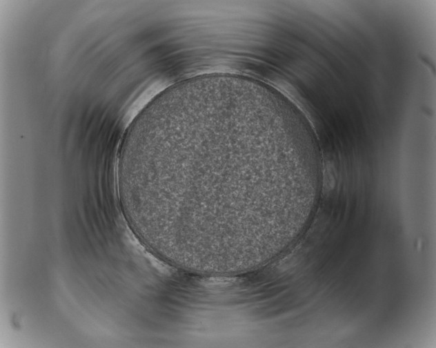 X0000102341290200808221622