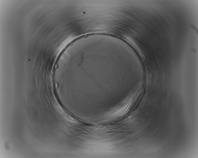 X0000102341291200808221622