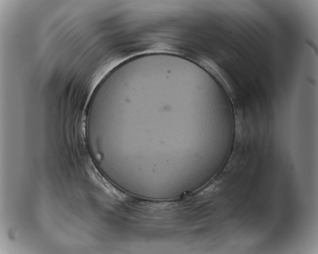 X0000102341292200808221622