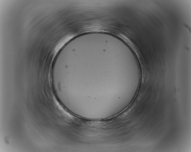 X0000102341293200808221622