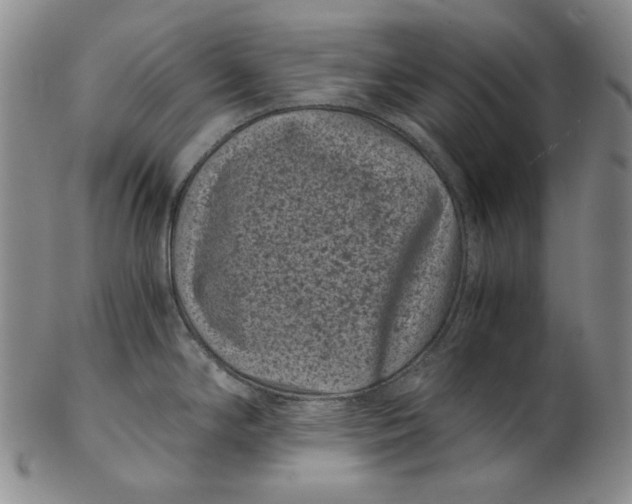 X0000102341294200808221622