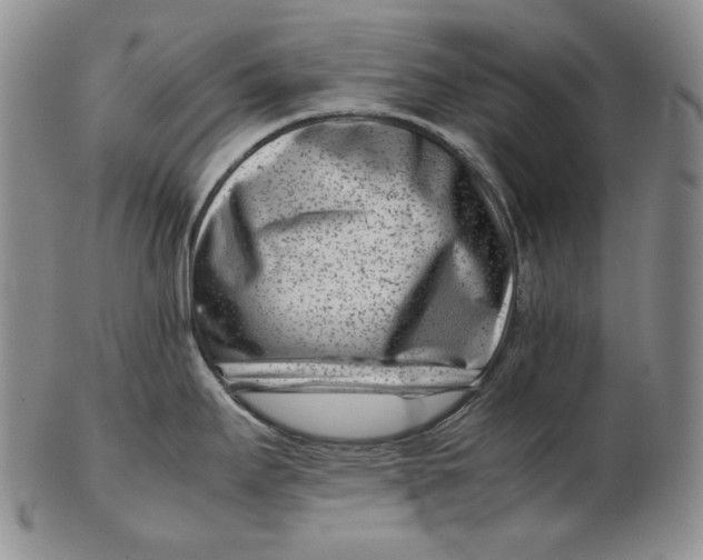 X0000102341295200808221622