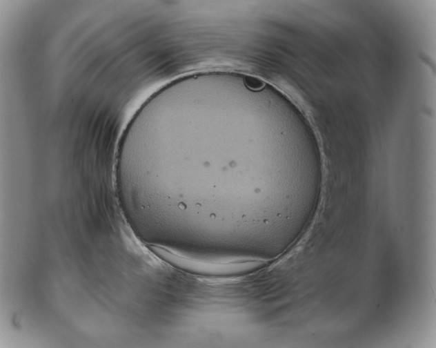 X0000102341296200808221622