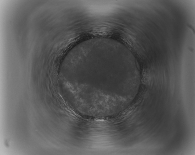 X0000102341297200808221622