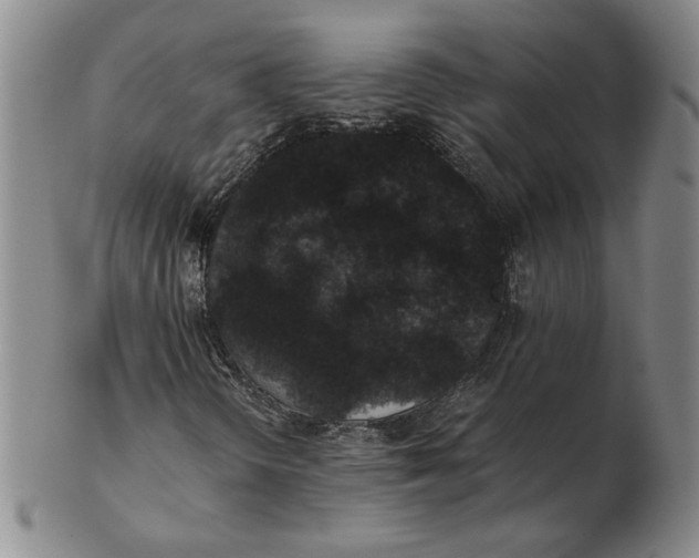 X0000102341298200808221622