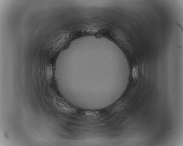 X0000102341299200808221622