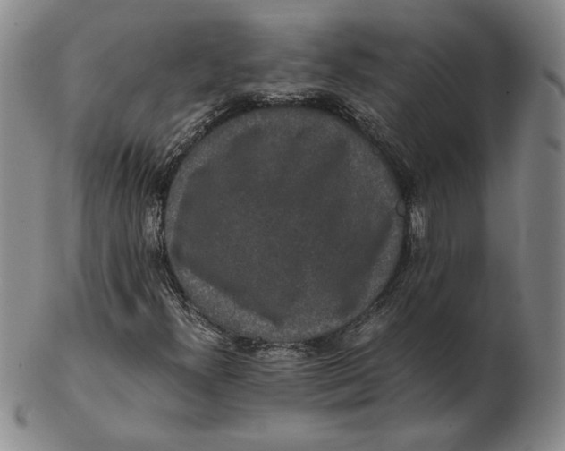 X0000102341300200808221622