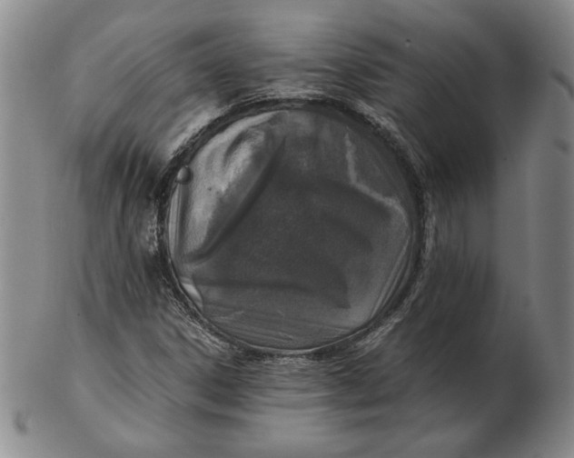 X0000102341306200808221622