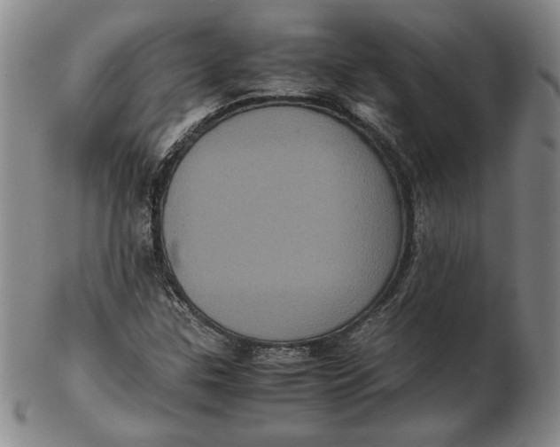 X0000102341307200808221622