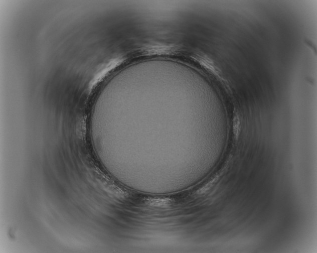 X0000102341309200808221622