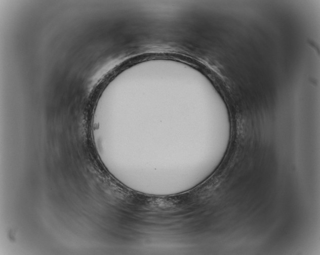 X0000102341311200808221622