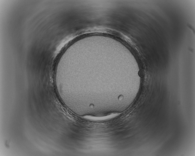 X0000102341312200808221622