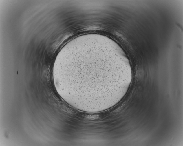 X0000102341313200808221622