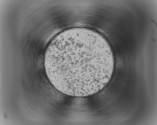 X0000102341314200808221622