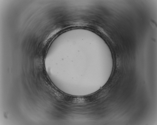 X0000102341315200808221622