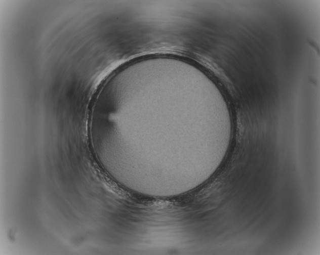 X0000102341316200808221622