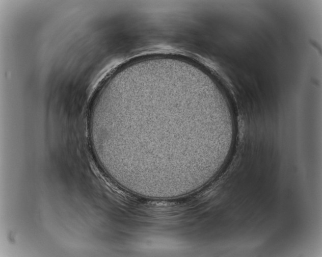 X0000102341318200808221622