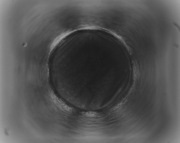 X0000102341319200808221622