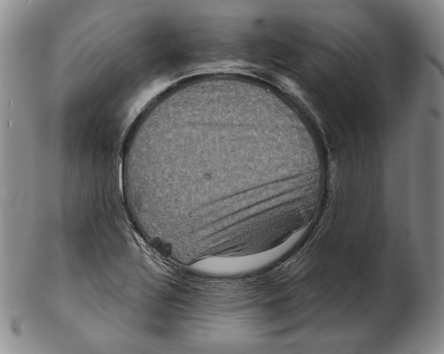 X0000102341320200808221622