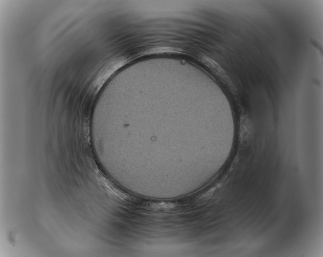 X0000102341321200808221622