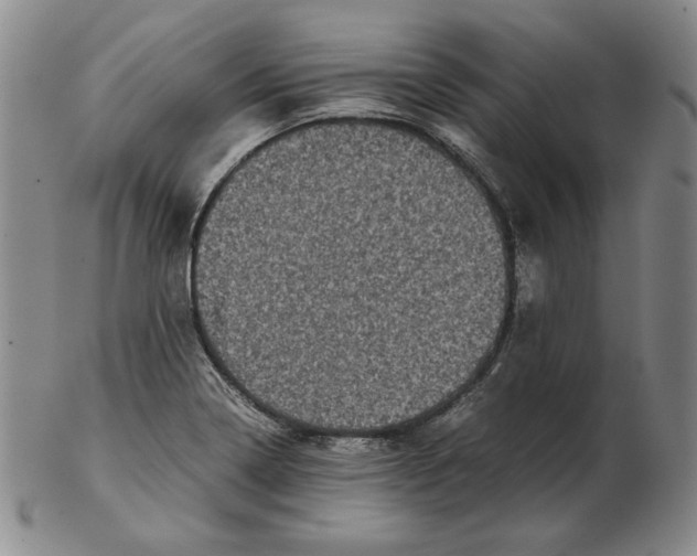 X0000102341322200808221622