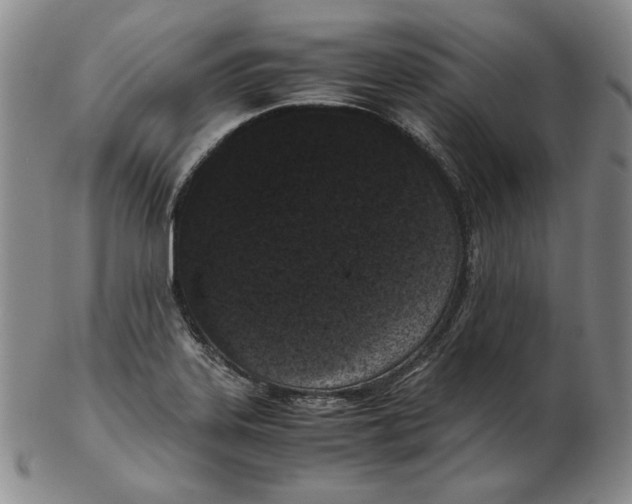 X0000102341323200808221622