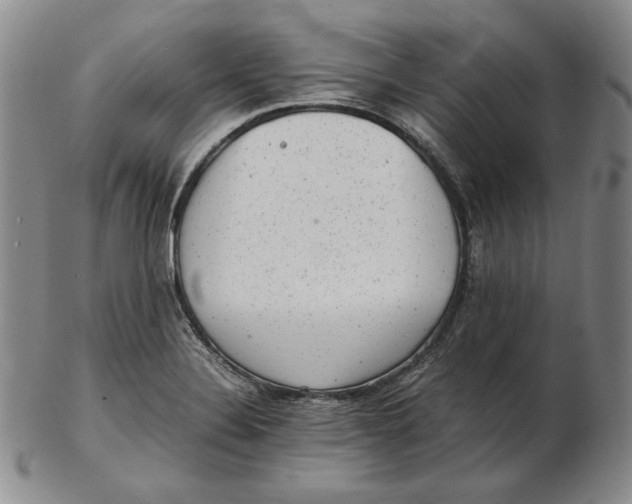 X0000102341324200808221622