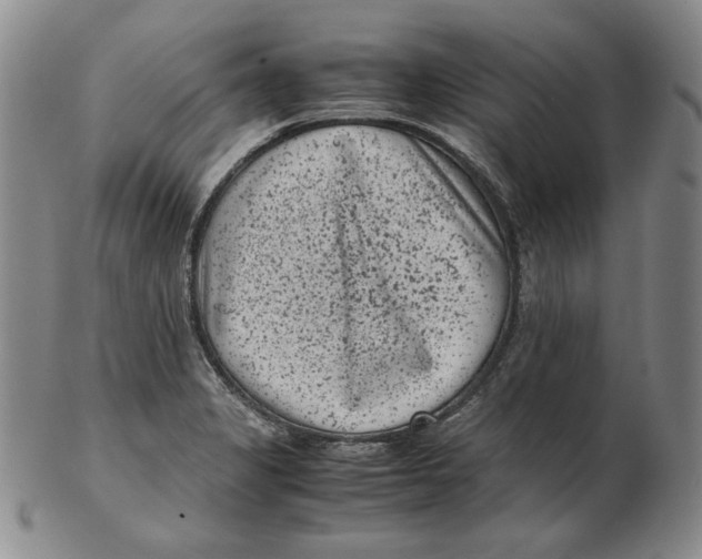 X0000102341325200808221622