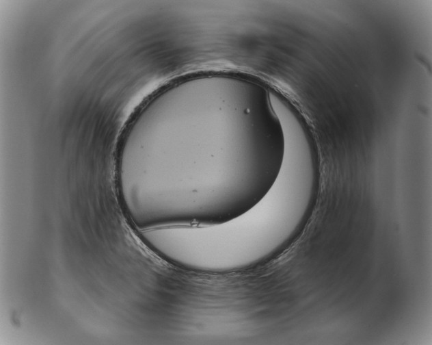 X0000102341326200808221622