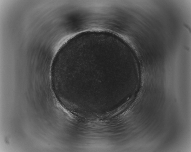 X0000102341327200808221622