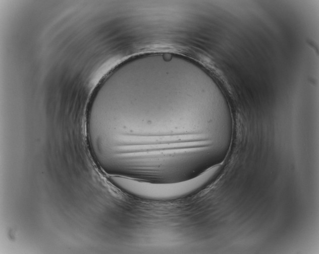 X0000102341328200808221622