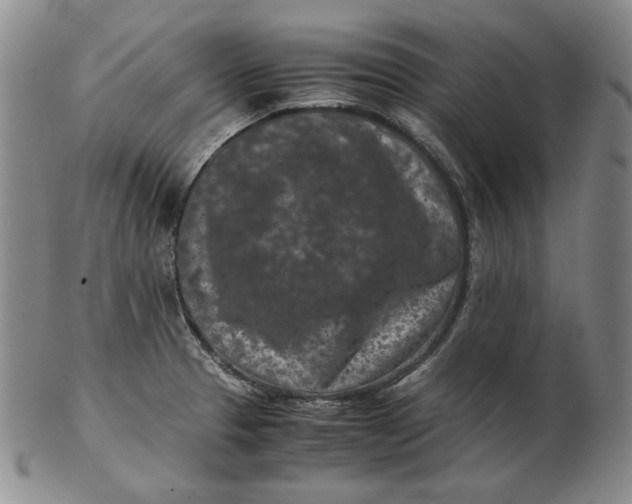 X0000102341329200808221622