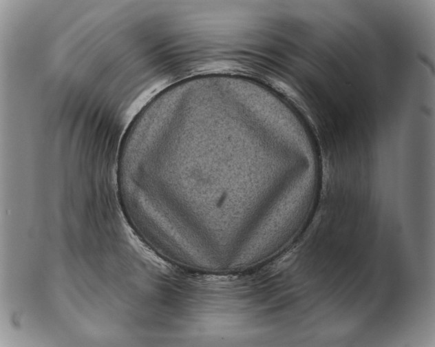 X0000102341330200808221622