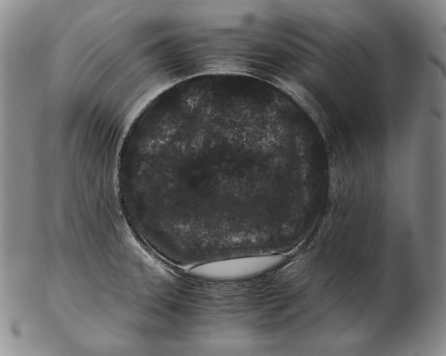 X0000102341331200808221622