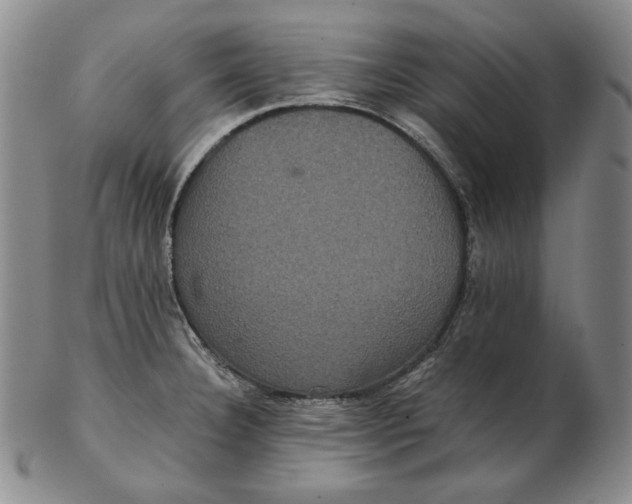 X0000102341332200808221622