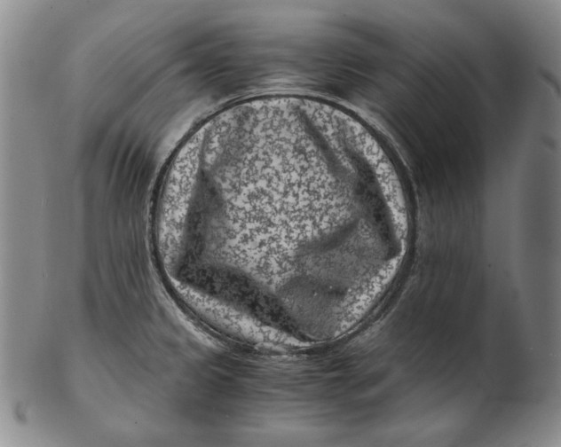 X0000102341333200808221622